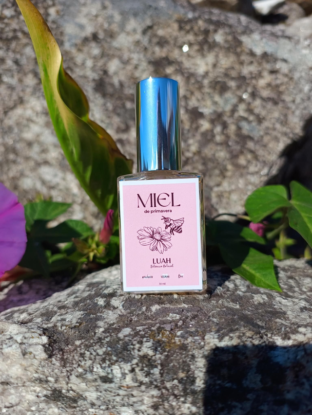 Colonia Miel de primavera 30ML